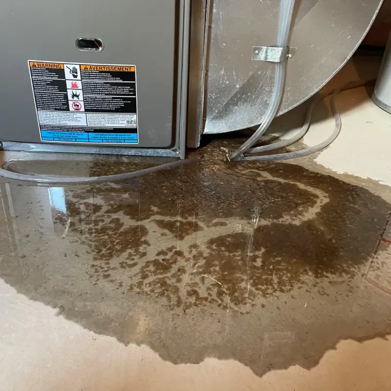 Appliance Leak Cleanup in Palo Alto, CA